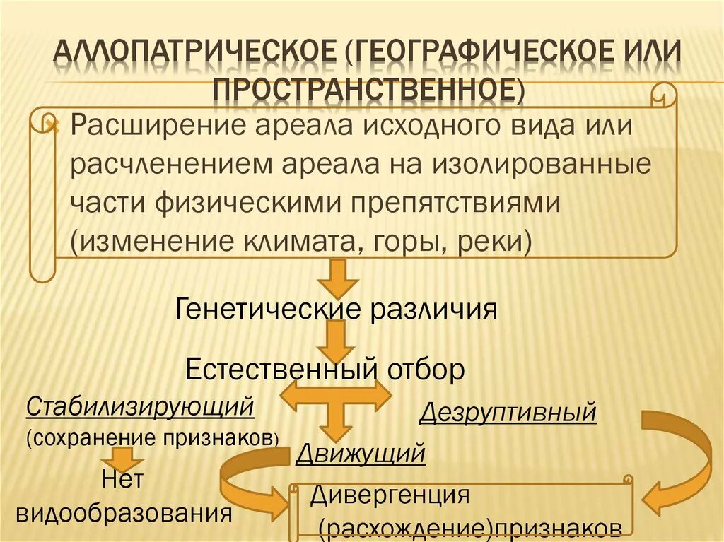 Пространственное разрешение монитора определяется. Пространственное изображение монитора. Изображение высокого и низкого разрешения. Пространственное разрешение монитора. Пространственное расширение.