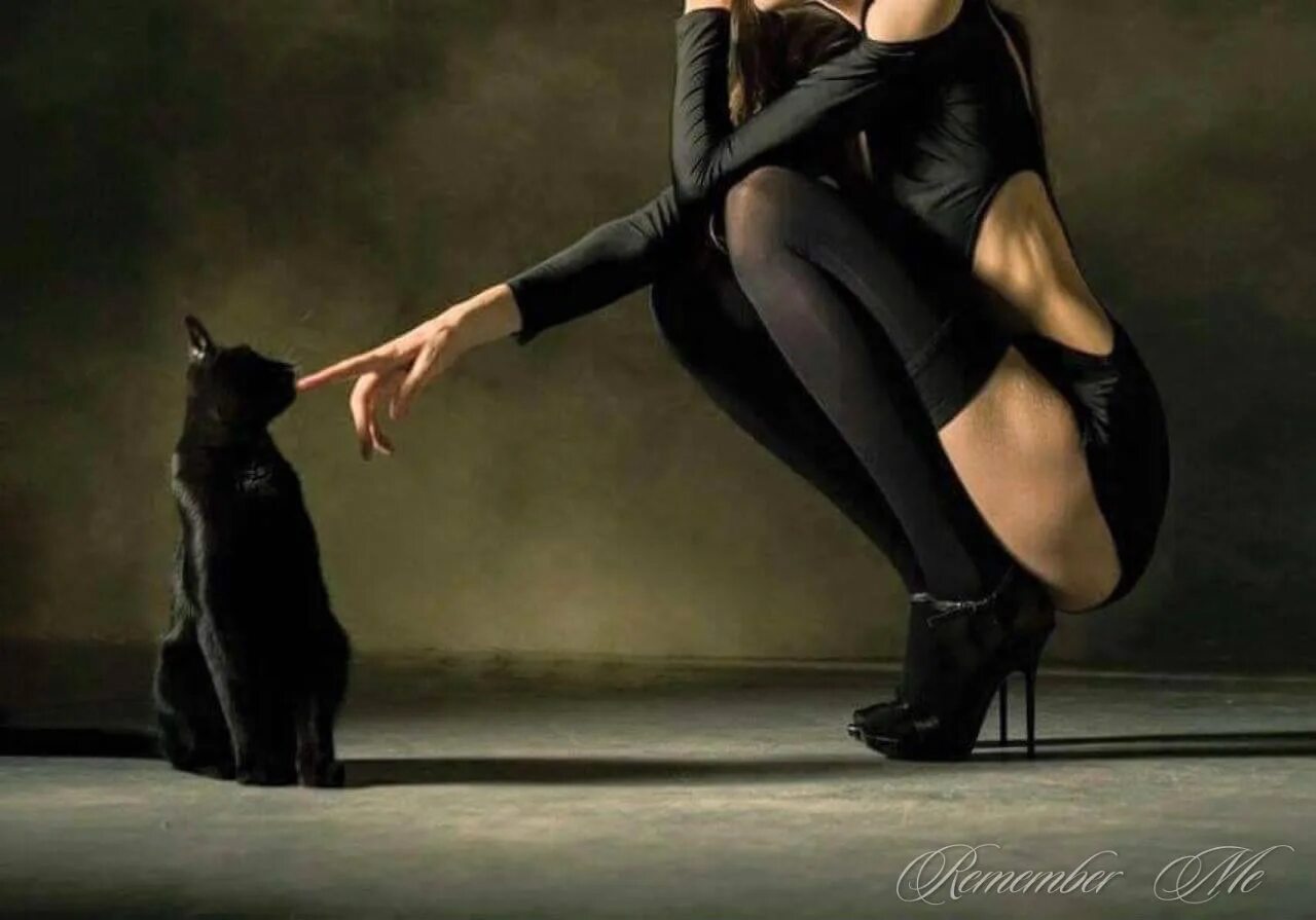 А знаешь кот. Девушка кошка. знаешь кот. красивая девушка с кошкой. знаешь кот в жизни.