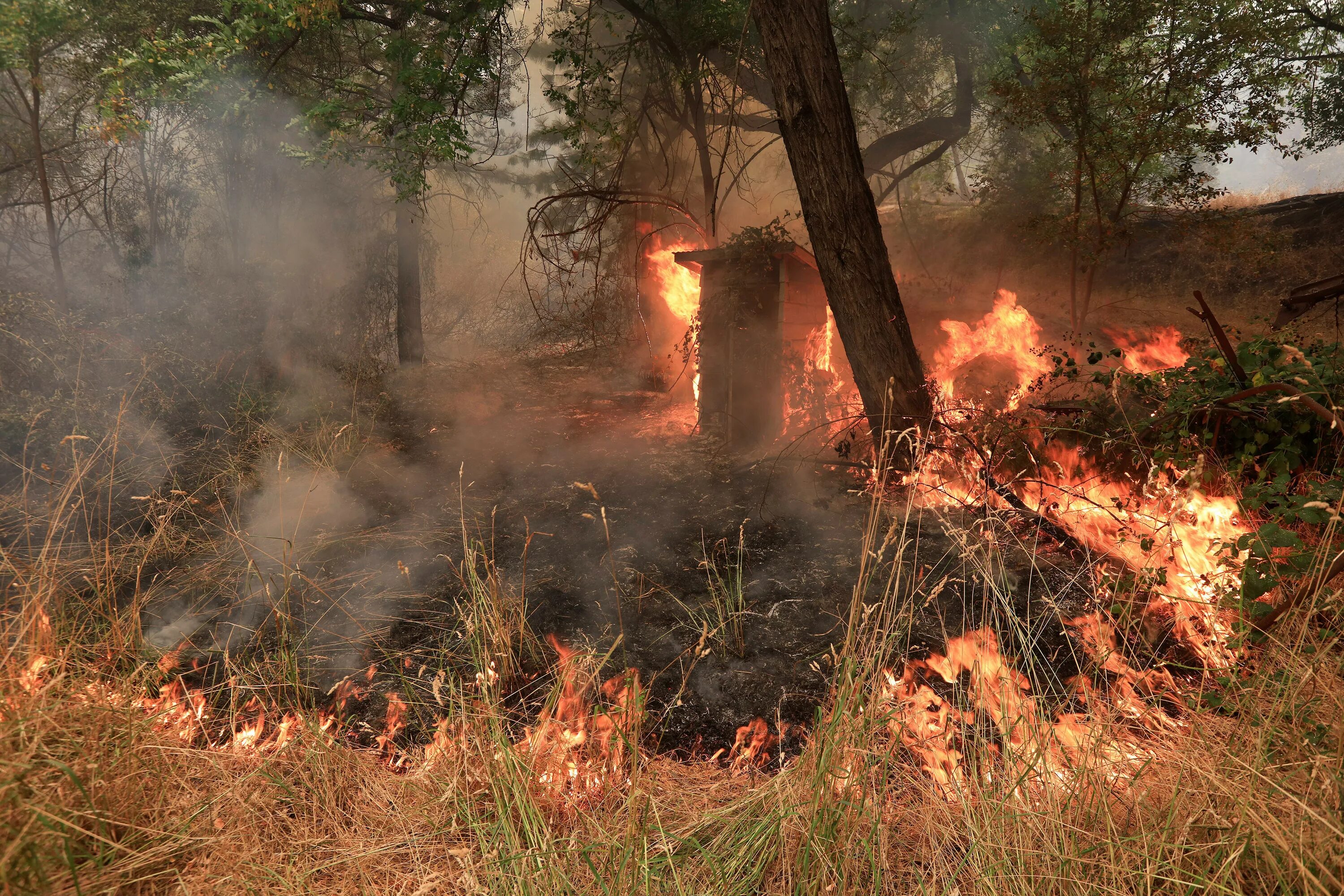 Последствия лесных пожаров. Ущерб от пожара. Ущерб от пожара лес. Экономические последствия лесных пожаров. Ущерб от пожара третьим лицам