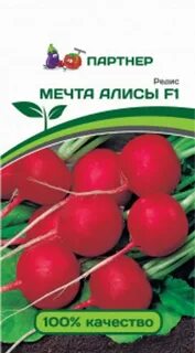 Редис мечта