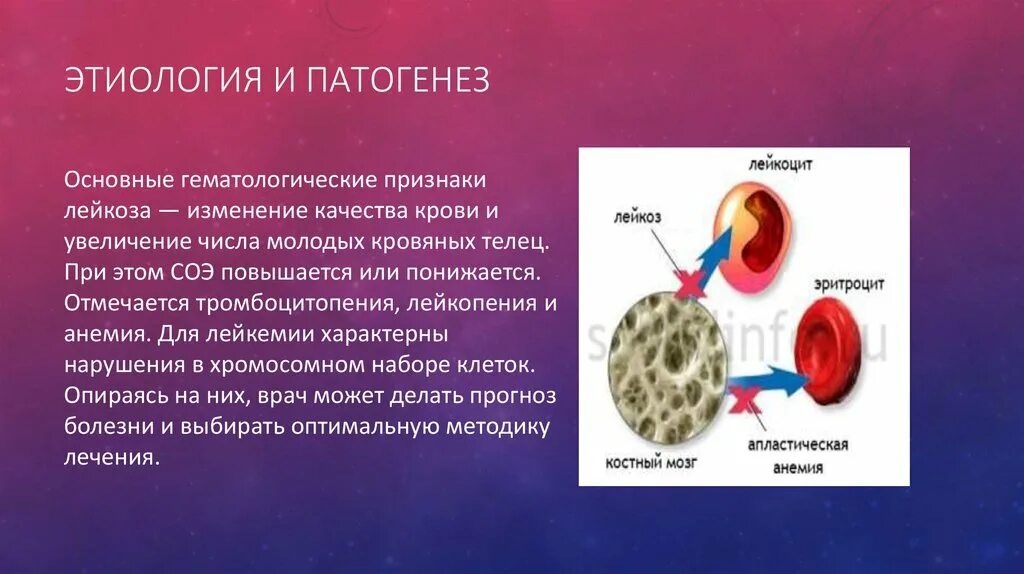 Лейкопения при анемии. Патогенез лейкозов. Этиология лейкозов. Хронический лейкоз этиология. Патогенез лейкозов патофизиология.