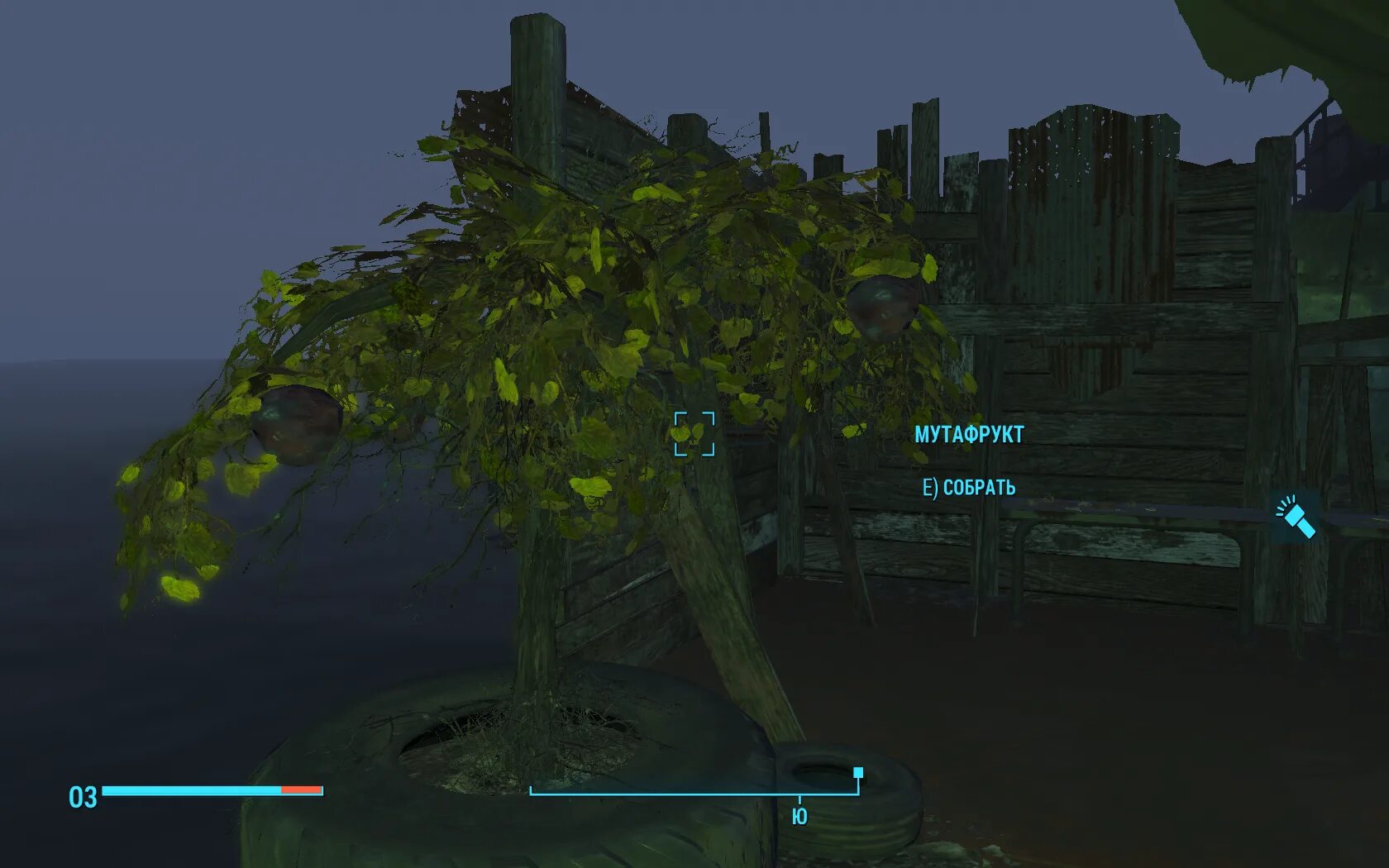 Мутафрукт фоллаут 2. Тошка фоллаут 4. Famished. Мутафрукт fallout 4. Грейгарден в fallout 4.