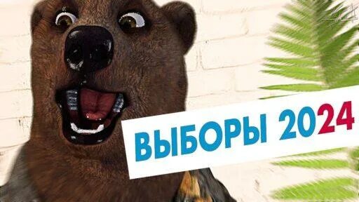 Записаться на выборы 2025. Выборы 2025 картинка.