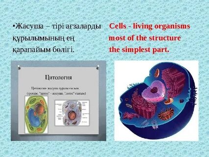 Жалаңаш қыздар киски видео