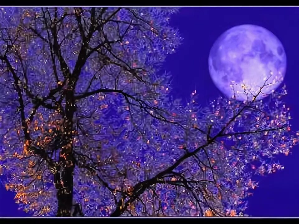 Több mint 4 000 ingyenes kép Őszi Hangulat és Ősz témában - Pixabay Night moon i