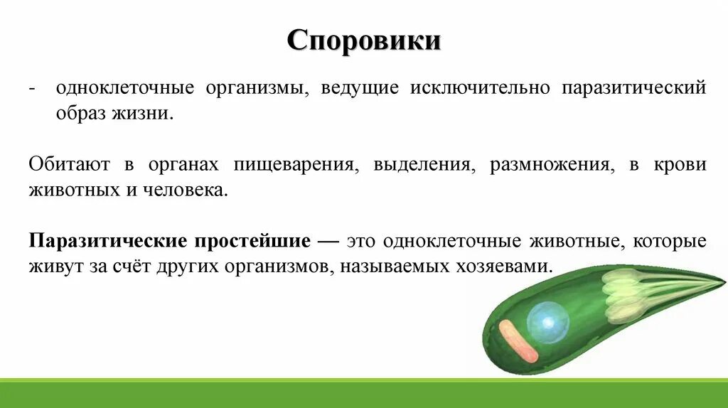 Паразитический образ жизни ведут. Организмы ведущие паразитический образ жизни. Паразитические простейшие значение простейших. Таблица на тему паразитические простейшие. Споровики значение в природе.