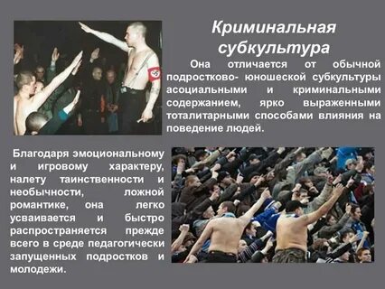 Деструктивные криминальные субкультуры