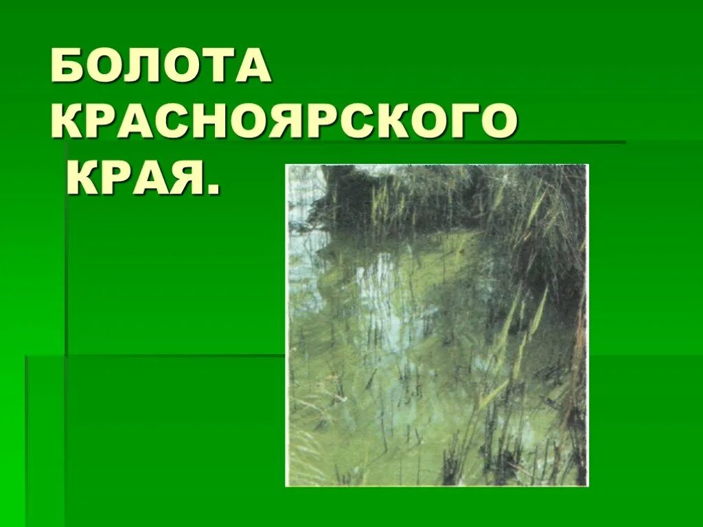 Васюганское болото интересные факты. Верховые болота. Разнообразие природы тверского края. Имя топи. Болота названия.