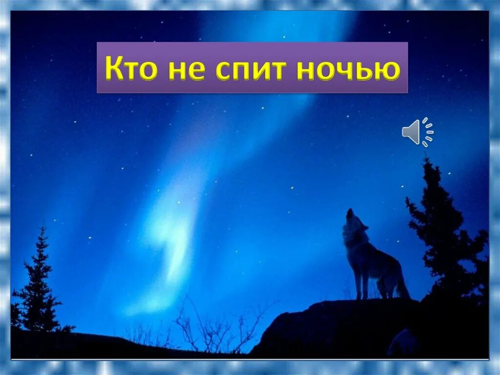 Какие животные не спят ночью. Ночь для презентации. кто не спит ночью. какие животные спят ночью. кто не спит ночью? животные.