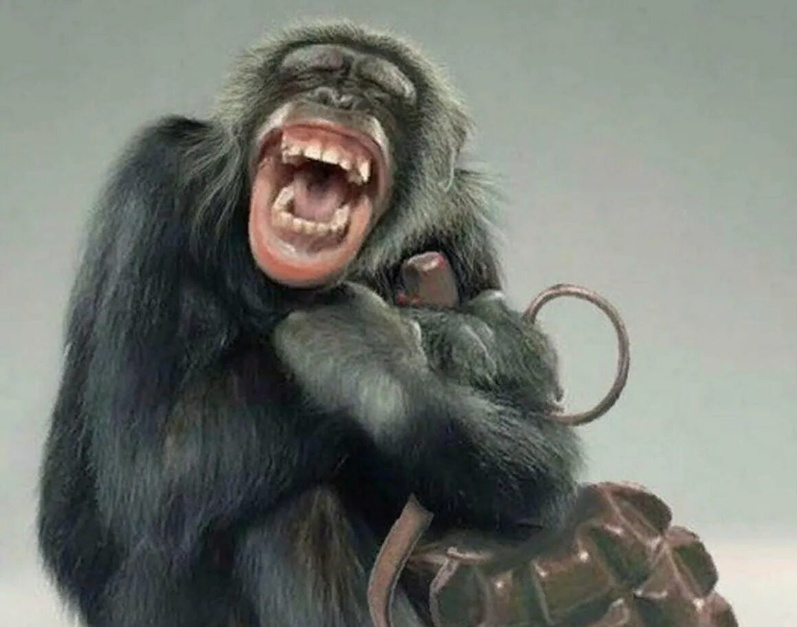 Бебезьяна с пистолетом. Г******** с обезьянами. Обезьяны с гранатами. Две обезьяны с гранатой. Горилла с гранатой.