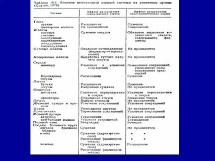 Соматическая и вегетативная работа сердца