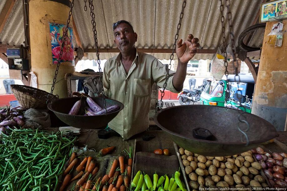 Шри Ланка антисанитария. Рынки на Шри Ланке. Шри Ланка базар. Пятничный рынок Шри-Ланка.