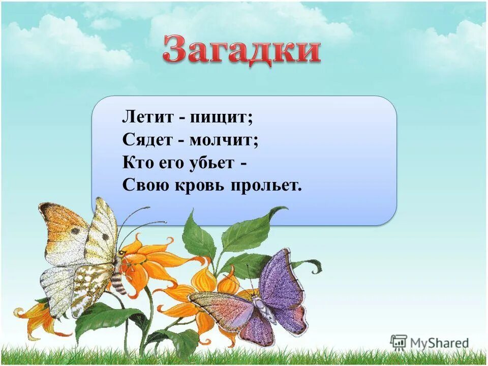 Загадки про лето. Летит пищит сядет. Сказка про комара комаровича. Летает жужжит сядет молчит загадка. Летит пищит сядет.