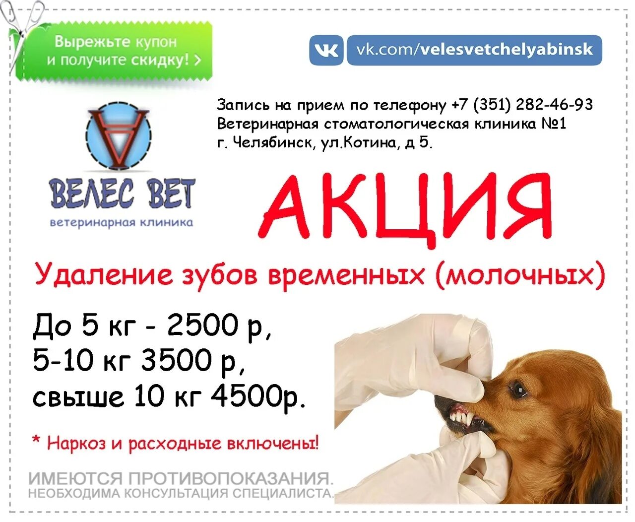 Человек беспокоит животное. Ветклиника happy пес. Ветклиника речицы. Круглосуточная ветеринарная минск. Ветеринарное здание.