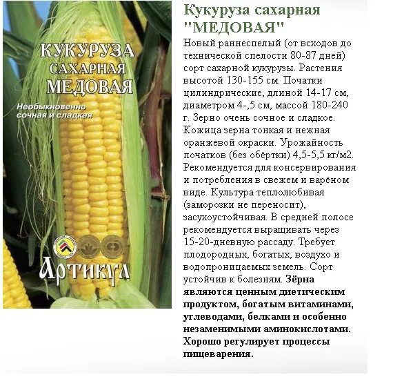 Кукуруза сахарный початок описание сорта. Подвиды кукурузы. Районированные сорта кукурузы. Высота кукурузы.