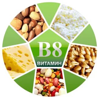 Продукты большой 8