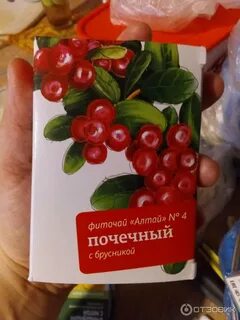 Почечный с брусникой