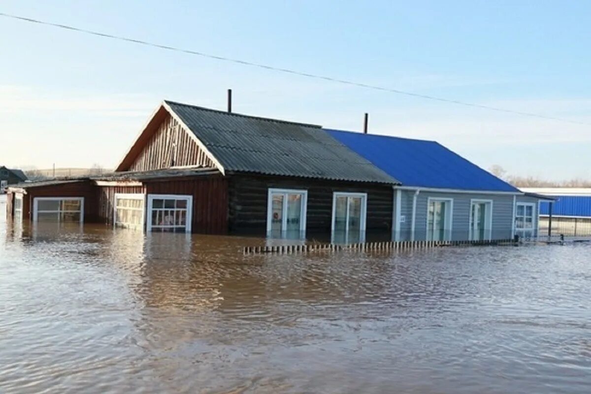 Зелёный дол Алтайский край Петропавловский район село. Вылково Алтайский край. Самарка деревня Алтайский край. Петропавловск Алтайский край.