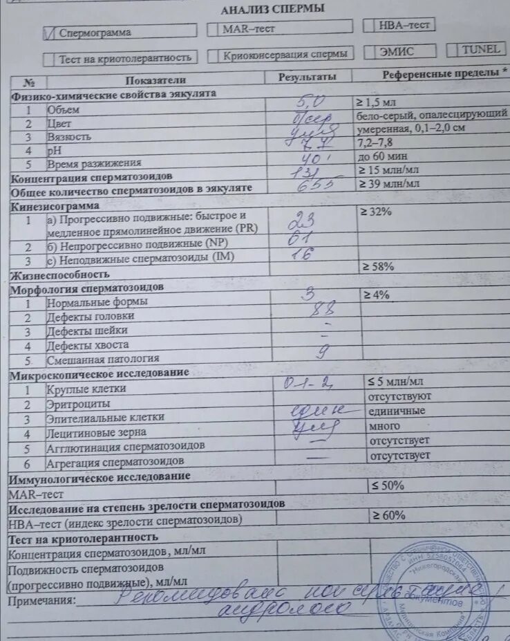 Смарт тест спермограмма. Смарт тест спермограмма