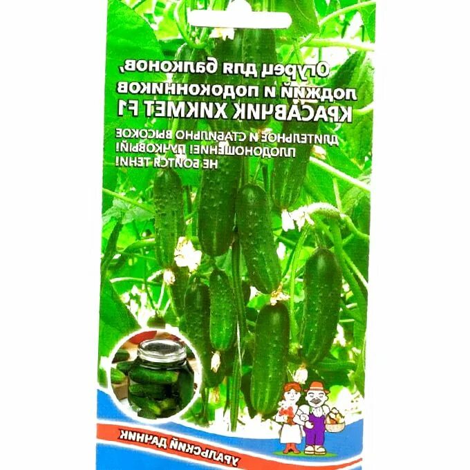 Огурец балконный красавчик Хикмет f1 6шт (комн) (уд). Огурец балконный красавчик Хикмет f1. Красавчик Хикмета огурец балконный уд. Сорта огурцов красавчик Хикмет f1.