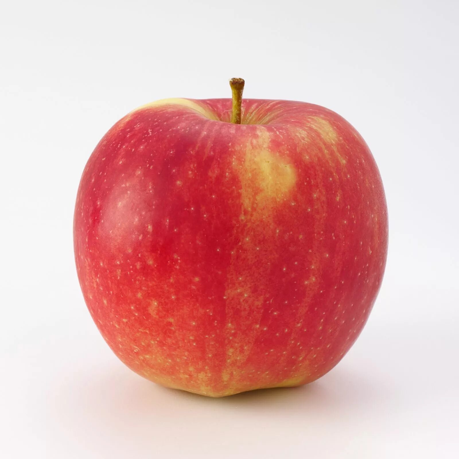 1 2 яблоко. Яблоки Джонаголд. Яблоко Джонагоред Чечня. Яблоко на белом фоне. Яблоко 1.