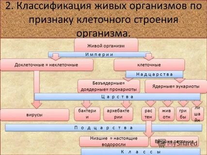 Назовите классификацию сарр
