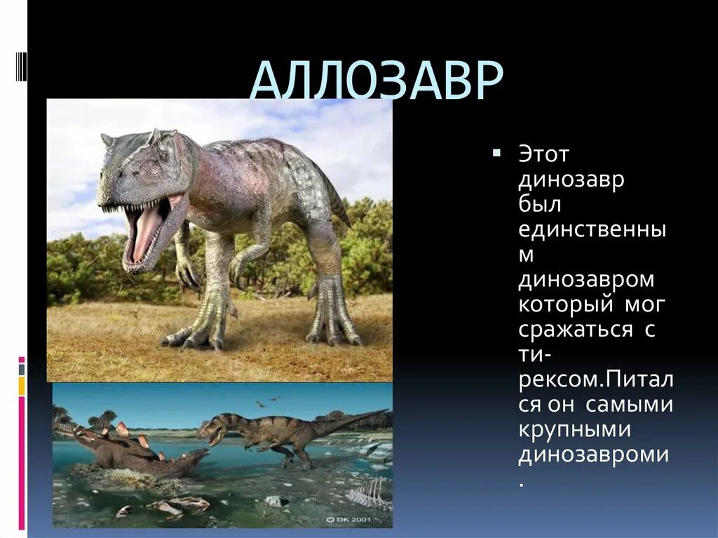 Сообщение о динозаврах 1. Аллозавр факты. Интересные динозавры. Интересные факты о алозавре. Сообщение динозавры интересные.