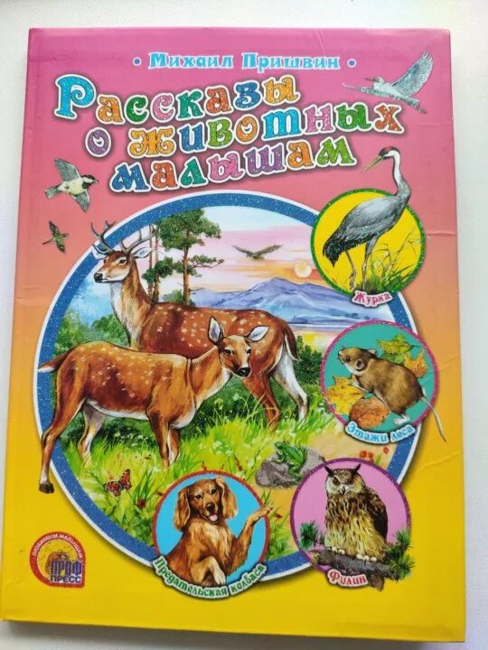 Загадки про животных для детей 5-6 лет с ответами. Интересные факты о животных для детей дошкольного возраста. Рассказы о животных для дошкольников. Описать дикое животное. Короткие рассказы про животных.