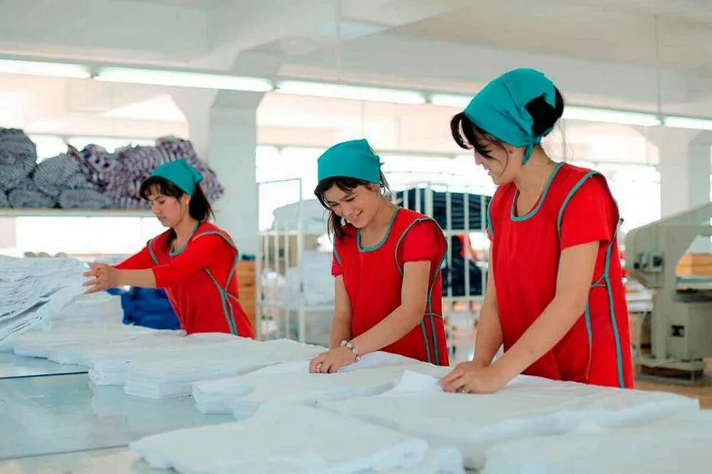 Текстиль цех Узбекистан. Швейная промышленность Узбекистана. Трикотаж цех. Производство трикотажа.