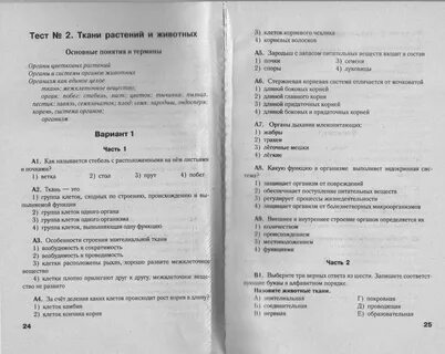 Тест по биологии ткани растений с ответами