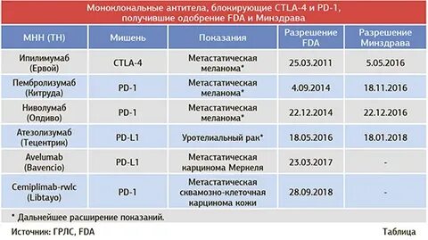 Сколько клеток у здорового человека