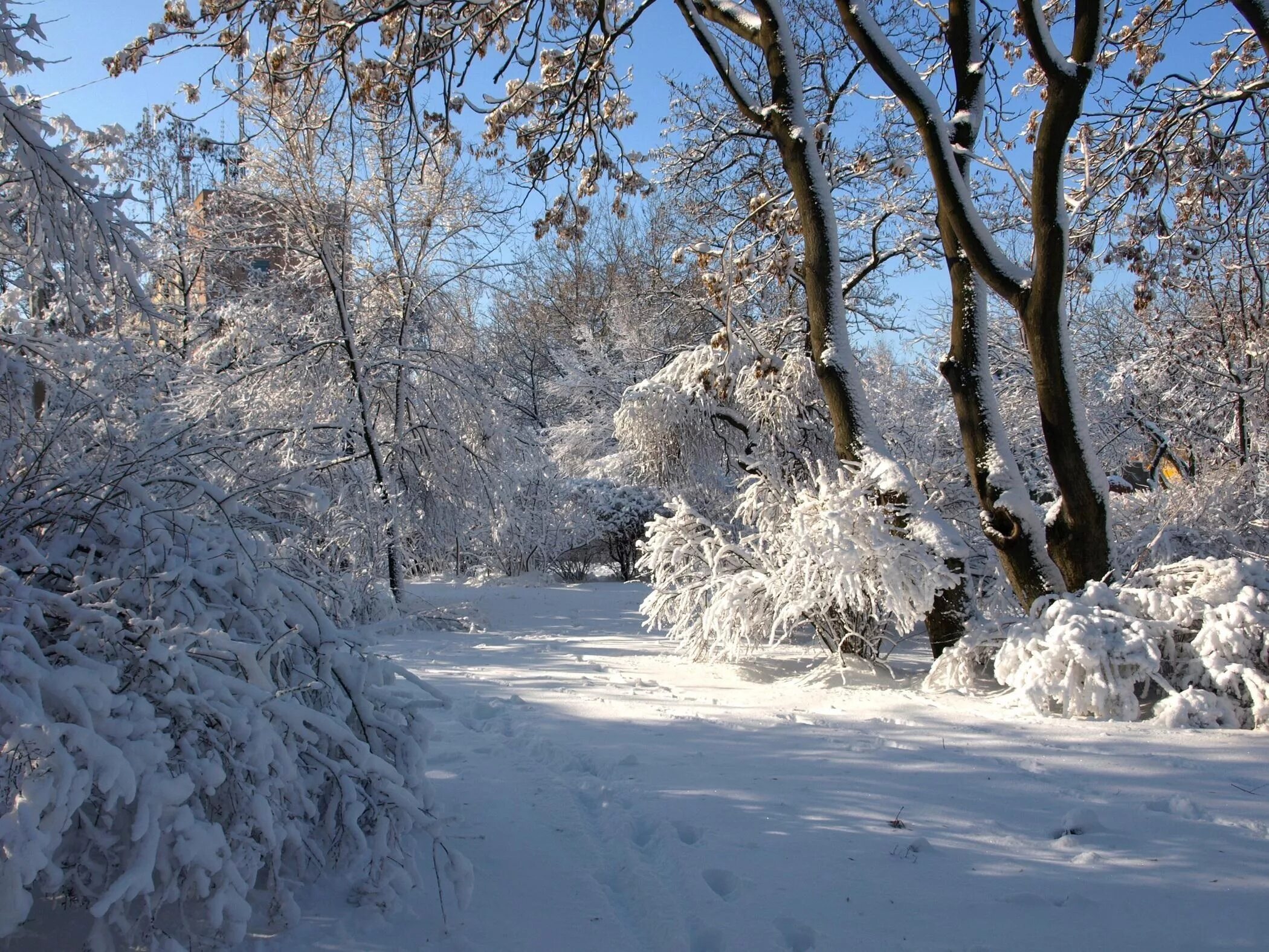 Зима ни. Зима. Красивая зима. Природа снег. Зима фото.