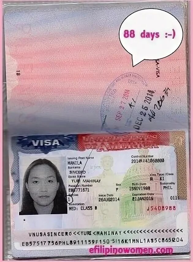 Visa days. Виза eb1. Eb1 виза в США. Виза Грин карта.