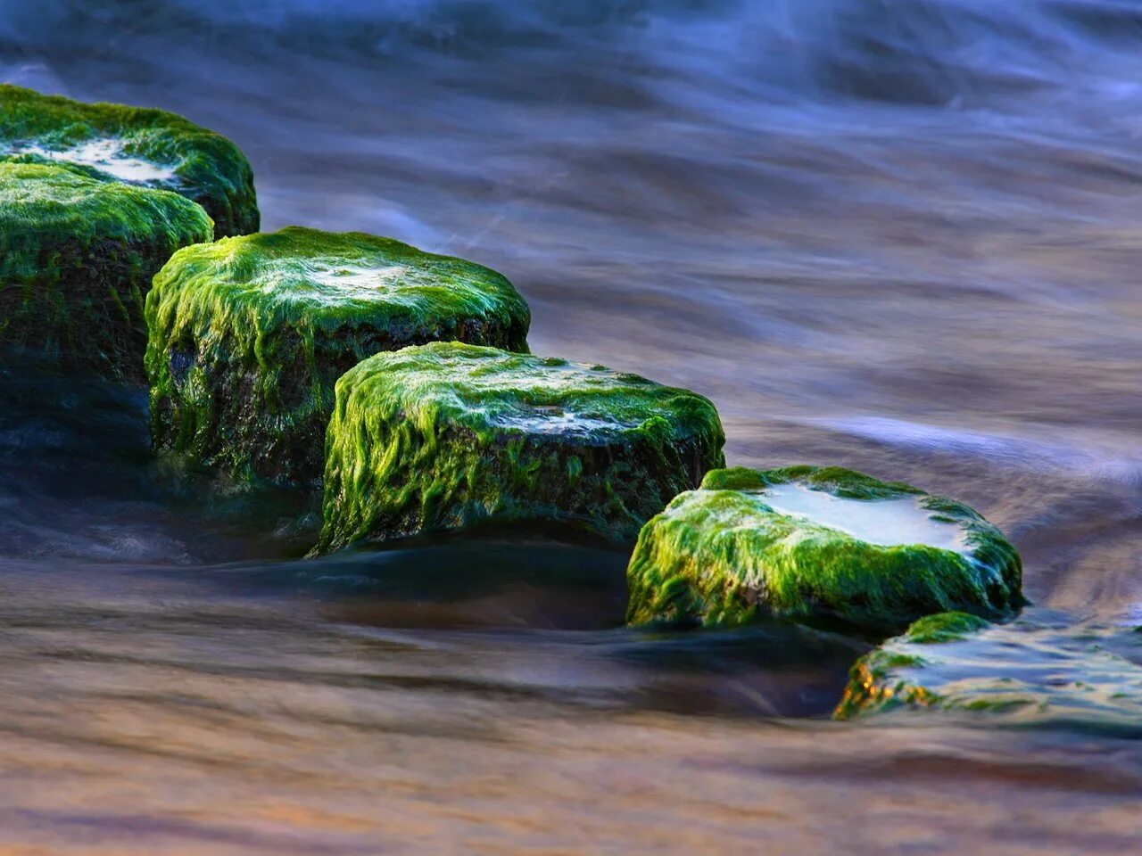 Самоцветы вода. Камни в воде. Водоросли на камнях. Валун в воде. Красивые камни в воде.