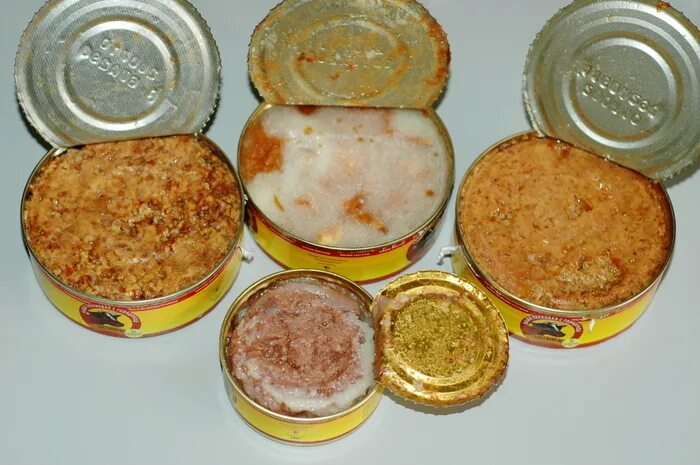 Микробиологический бомбаж. Дефекты мясных консервов бомбаж. бомбаж консервов ботулизм. микробиологический бомбаж мясных консервов.