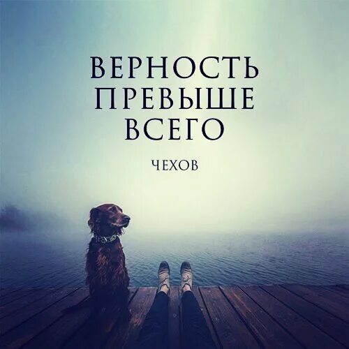 Разум превыше денег книга. Вещи которые не купишь за деньги. Милость твоя до небес. Силой силу не победишь цитату. Работай пока другие отдыхают цитаты.