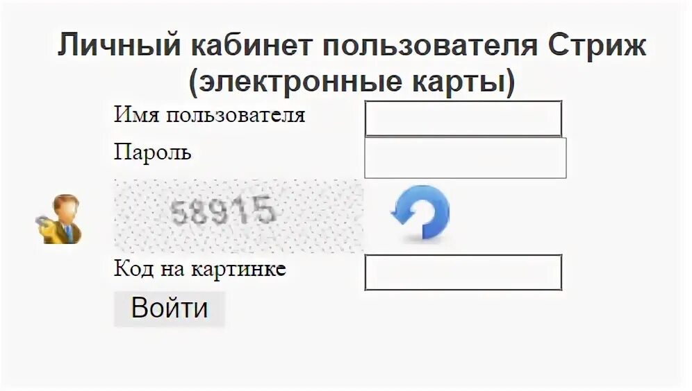 Электронная карта личный кабинет. Стриж личный кабинет. Личный кабинет пользователя. Стриж.РФ личный кабинет. Войти личный кабинет Стриж электронные карты.