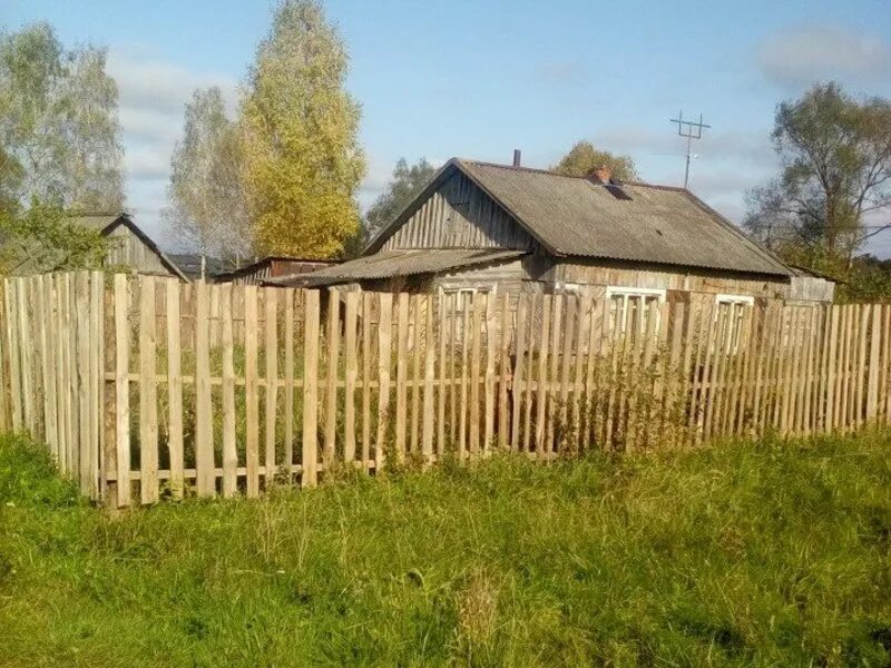 Деревня селеево. Село ловать. Селеево новгородская область. Селеево новгородская область. Селеево новгородская область.