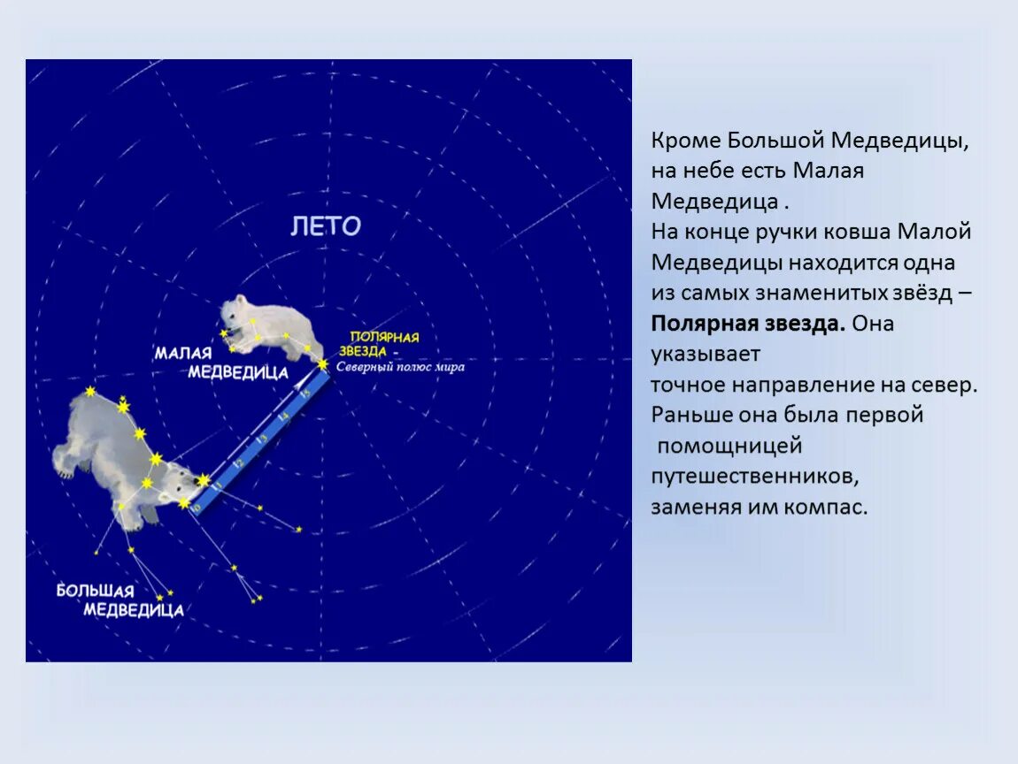 Рассказ о большой медведице