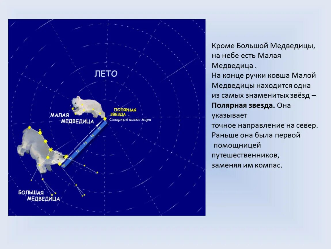 Придумать сказку о созвездиях весеннего неба 2. Сказка о созвездии малая Медведица и полярной звезде. Полярная звезда на конце малой медведицы. Сказка про малую медведицу. Рассказ о полярной звезде.