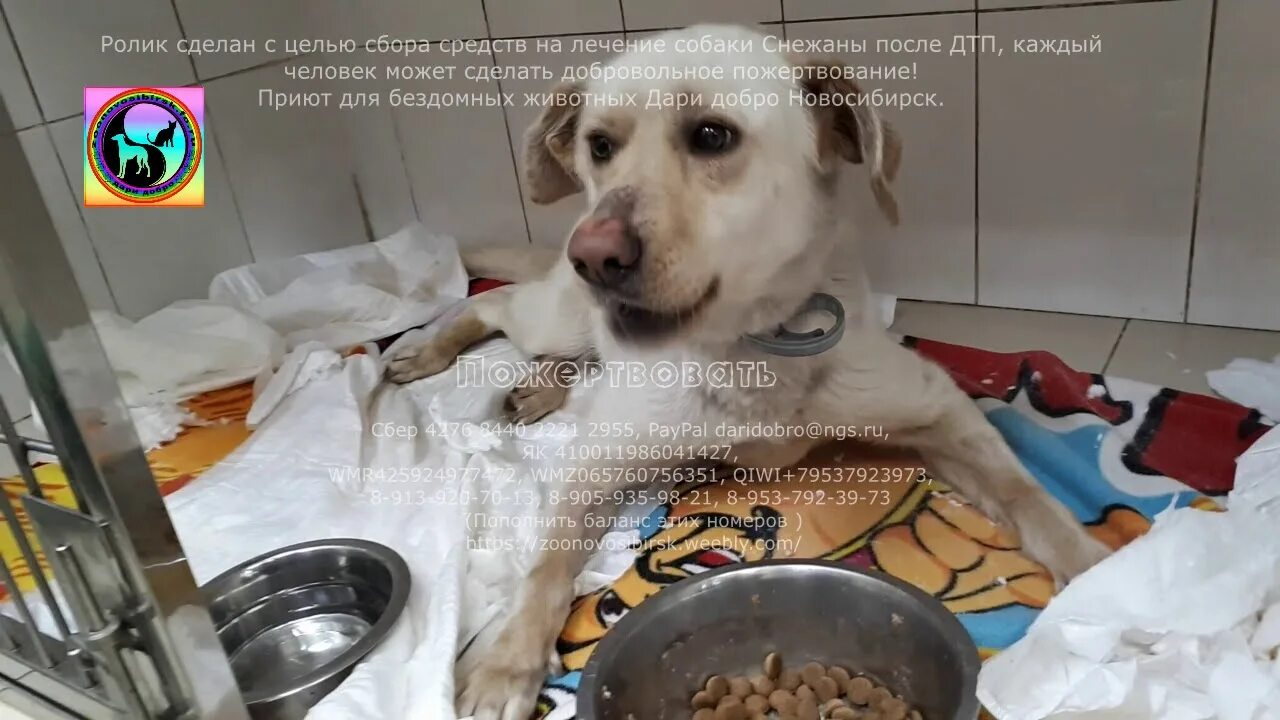Чтобы спасти ее