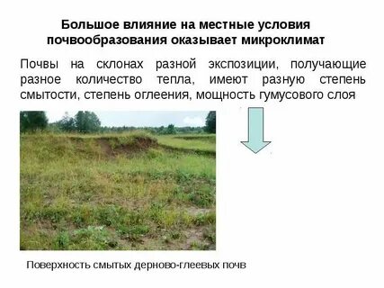 Который оказывает огромное влияние на