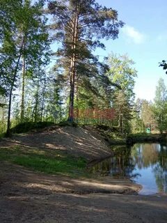 Речка сертолово