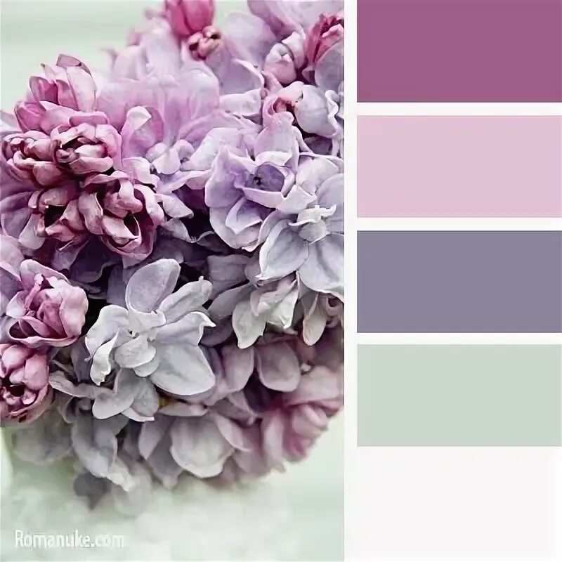 Серо фиолетовый цвет сочетание House of Cards August Challenge Color schemes, Design seeds, Seeds color