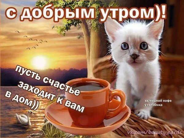 Доброе утро друзья прикольные смешные. Пожелания доброго утра прикольные. Шуточные пожелания с добрым утром. Открытки м добрым утром. Смешные пожелания с добрым утром.