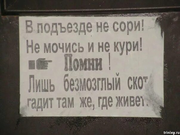 Как пописать если не хочется. Прикольные объявления в лифте. Прикольные надписи в подъездах. Смешные надписи в подъездах. Табличка не мусорить в подъезде.