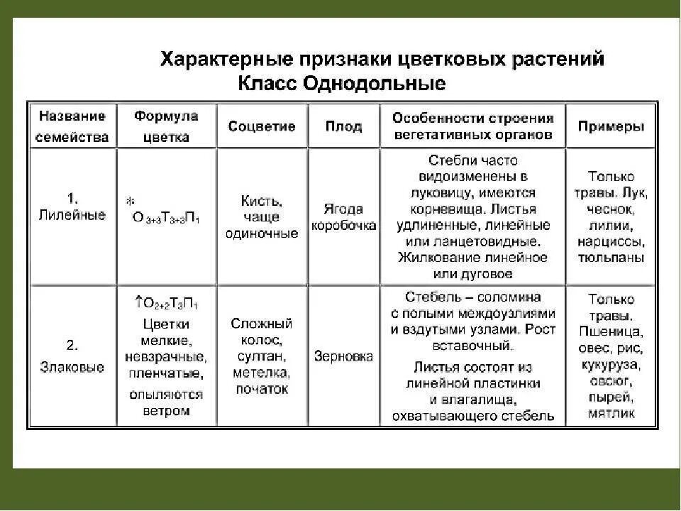 Признаки семейств однодольных растений таблица. Семейство покрытосеменных растений таблица 7 класс. Характерные признаки семейств цветковых растений класс Однодольные. Характеристика семейств класса однодольных растений. Основной признак однодольных