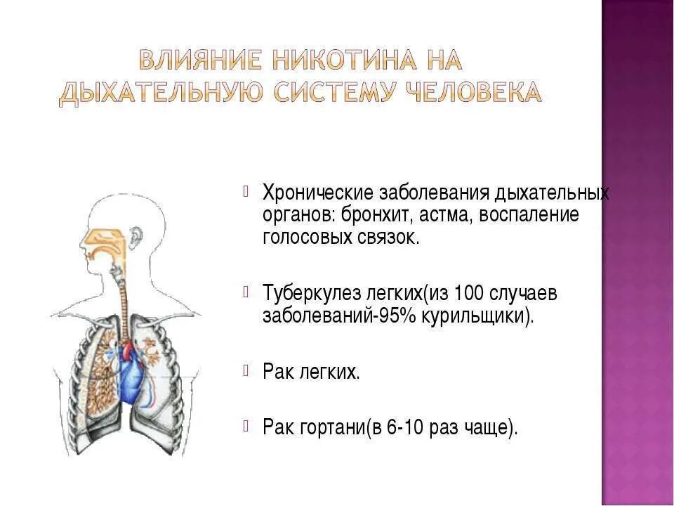 Структура заболеваний органов дыхания