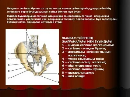 Орыс үйдегі әуесқой гей-порноны онлайн көру