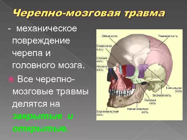 Травмы черепа и головного мозга. Черепно-мозговая травма. В кости есть мозг